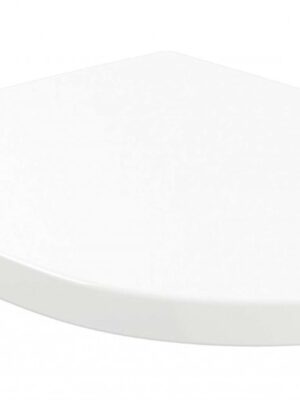 VILLEROY & BOCH - Subway 3.0 WC doska VILLEROY & BOCH - Subway 3.0 WC doska